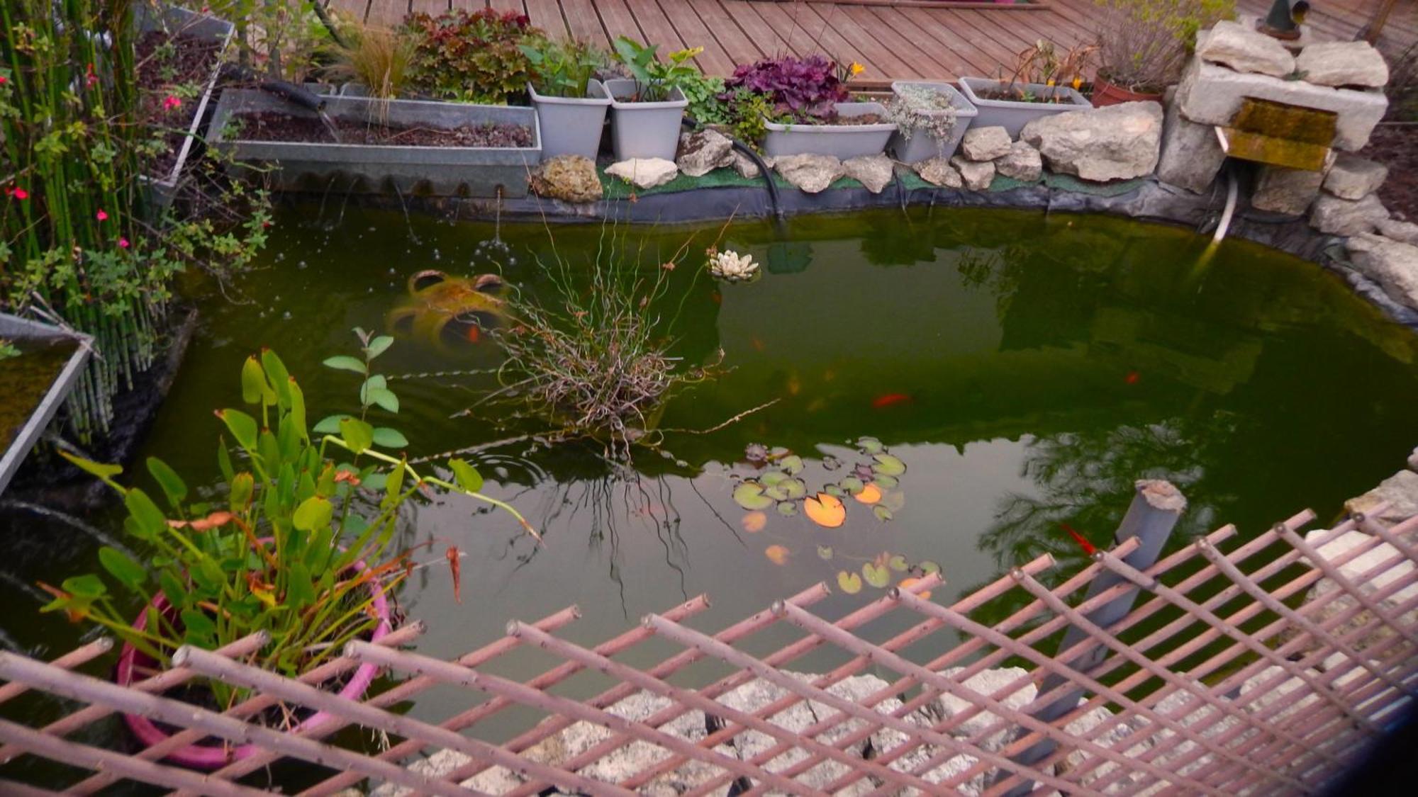 Le Clos Des Passiflores Пон Экстерьер фото